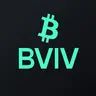 Bitcoin Volatility Index